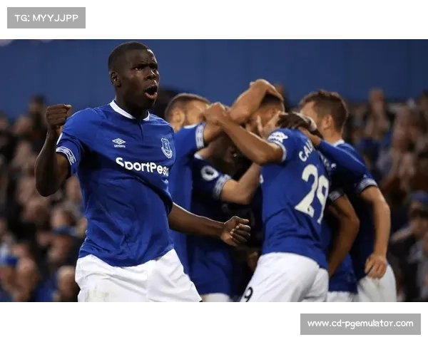 埃弗顿中场硬度，能否提升防守？