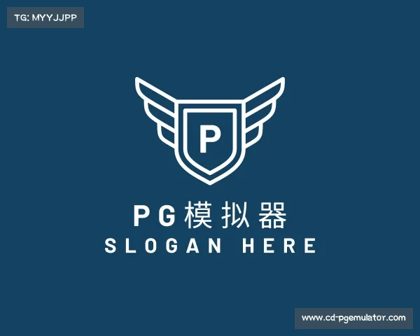 认识PG模拟器